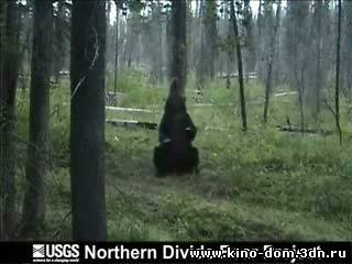 Утрений позитивчик улыбаемся пошире !!!