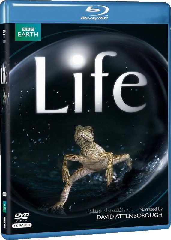 BBC: Жизнь / BBC: Life (2009) Онлайн BBC: Жизнь / BBC: Life (2009) Онлайн